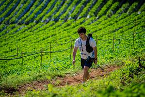 BIB: 
                            <button type="button" onclick="openModal(19162466)" class="btn btn-primary btn-sm float-right btn-popup" data-toggle="modal" data-target=".modal-high-quality">
                        <i class="fas fa-shopping-cart"></i> Add to Cart
                    </button>
                                            <button type="button" onclick="isThisMe(19162466, true)" class="btn btn-success btn-sm float-right btn-popup btn-isme hidden" data-toggle="tooltip" data-placement="bottom" title="นี่คือรูปของคุณใช่ไหม คลิกที่นี่เพื่อเอาเข้าอัลบั้ม">
                        <i class="fas fa-plus"></i> Add to album
                    </button>
                    <button type="button" onclick="isThisMe(19162466, false)" class="btn btn-warning btn-sm float-right btn-popup btn-isnotme hidden">
                        <i class="fas fa-ban"></i> Remove from album
                    </button>